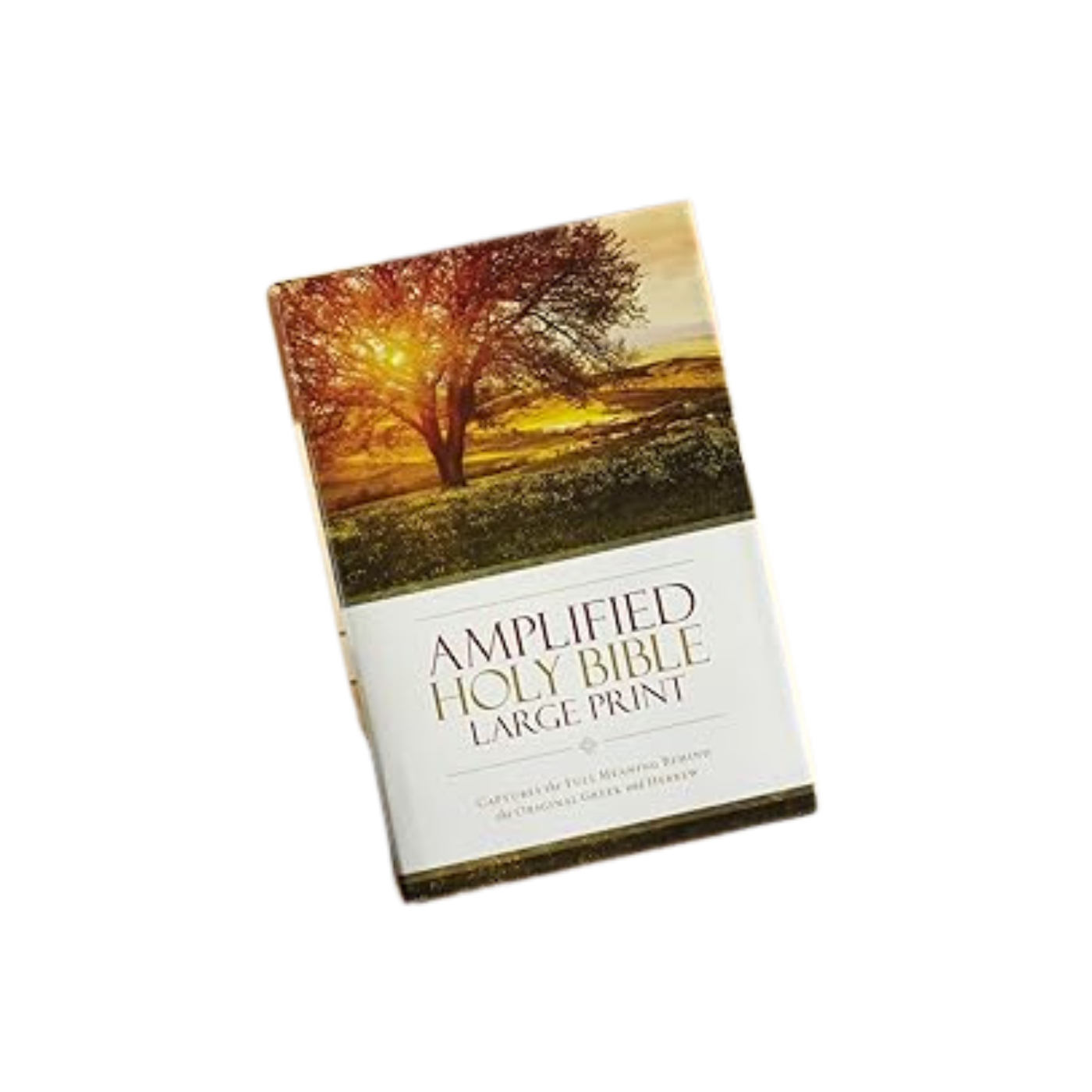 Amplified Holy Bible Large Print Hardcover