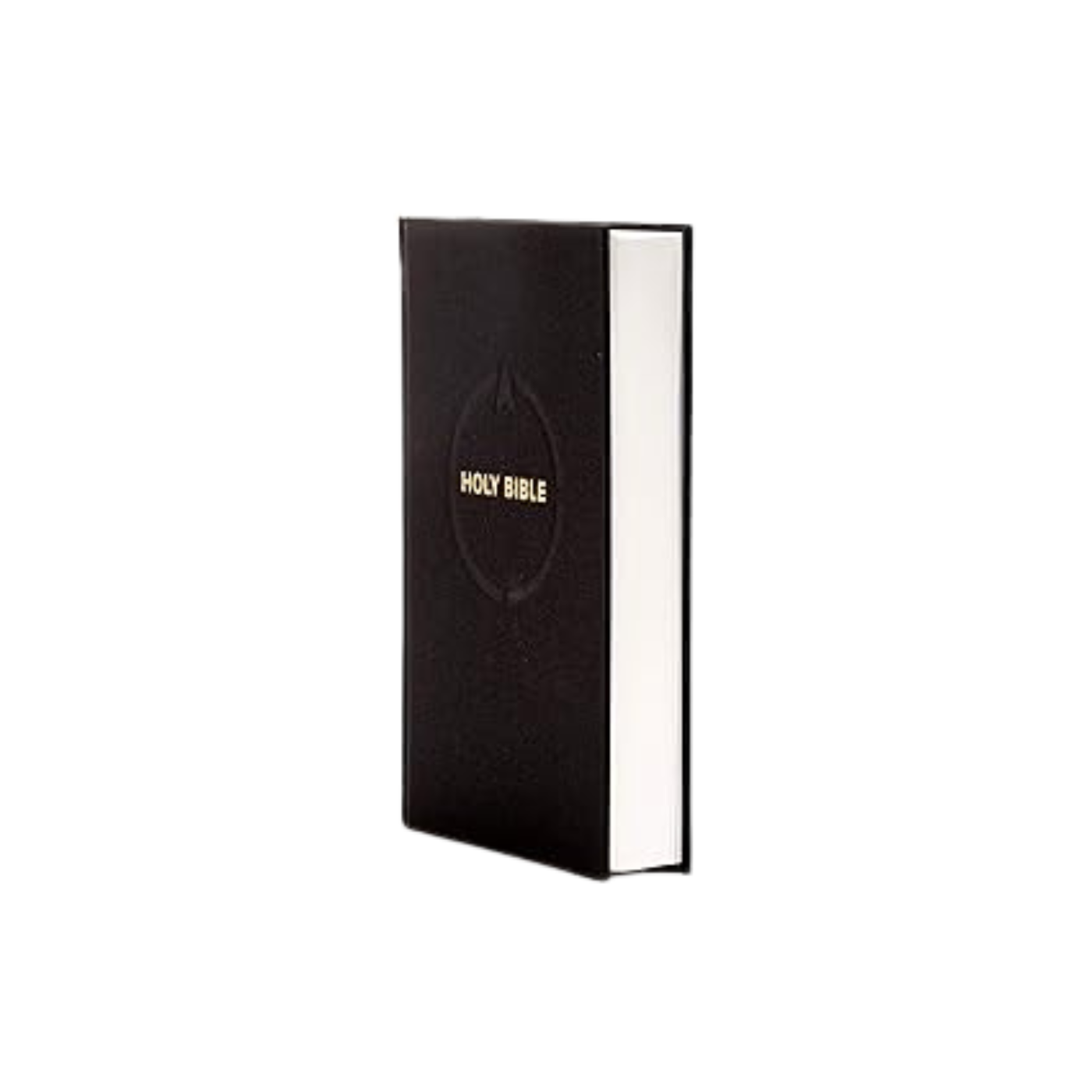 CSB Pew Bible, Black: Christian Standard Bible, Black - Hardcover