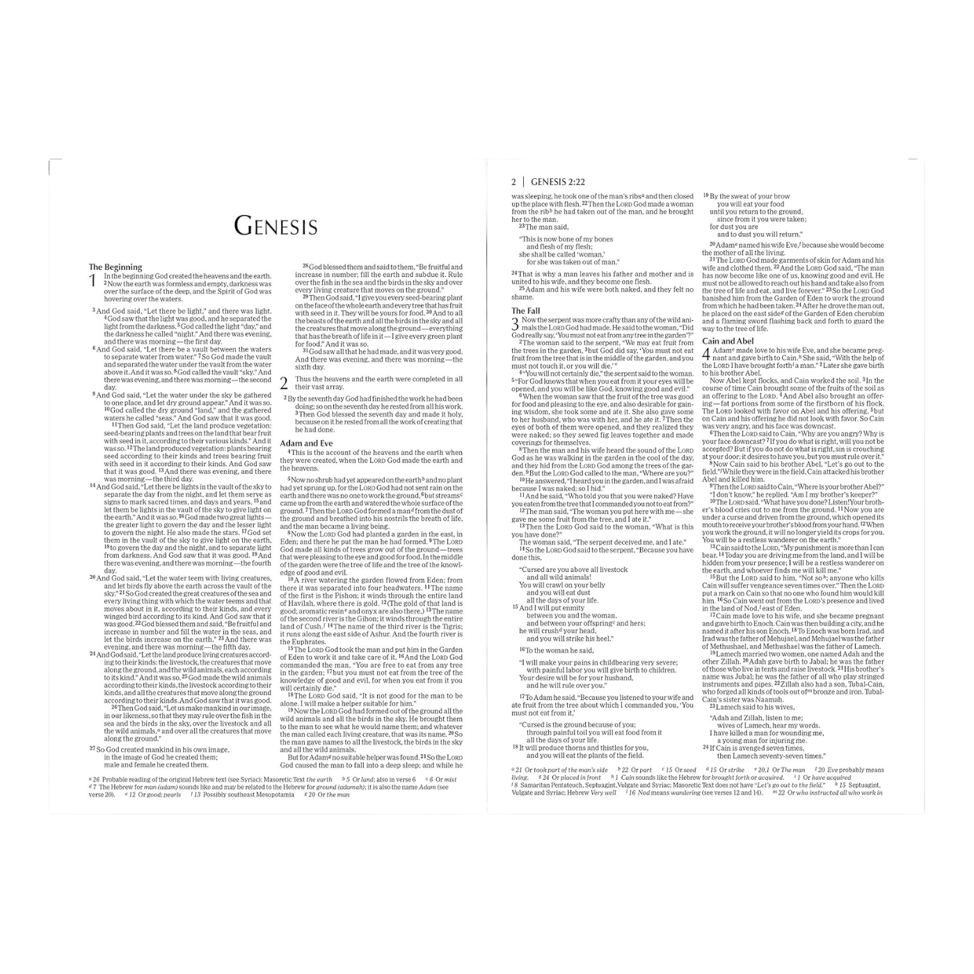 NIV, Economy Bible, Paperback: Affordable for Outreach, Church Ministry, and Bulk Distribution