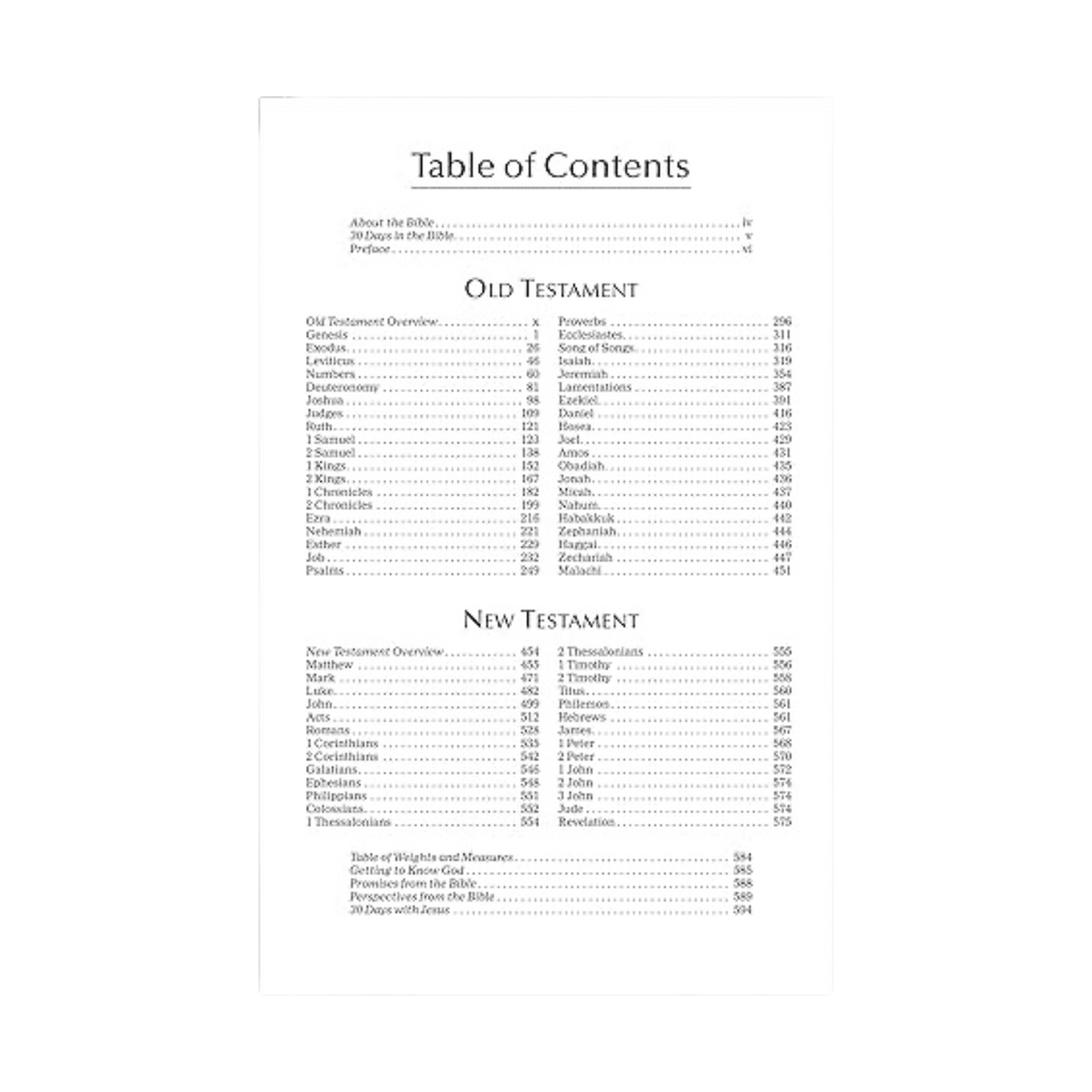 NIV, Economy Bible, Paperback: Affordable for Outreach, Church Ministry, and Bulk Distribution