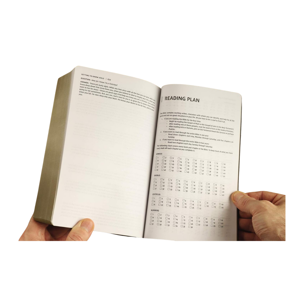 NIV, Holy Bible, Soft Touch Edition, Leathersoft, Brown, Comfort Print