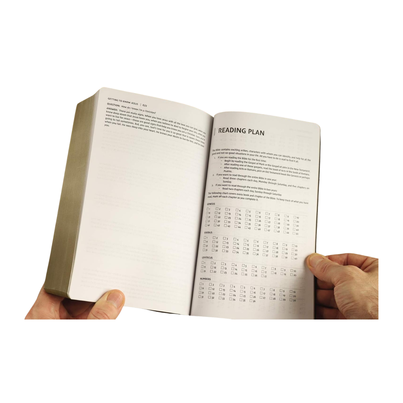 NIV, Holy Bible, Soft Touch Edition, Leathersoft, Brown, Comfort Print