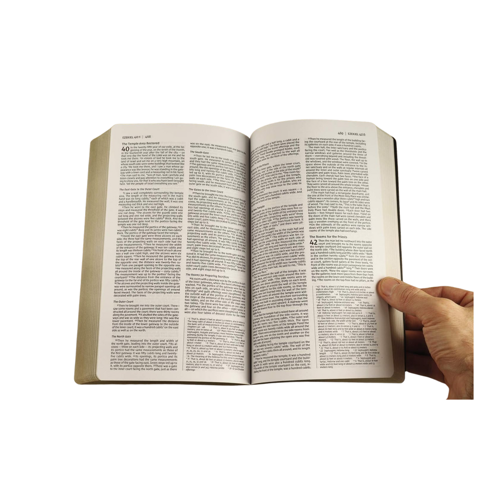 NIV, Holy Bible, Soft Touch Edition, Leathersoft, Brown, Comfort Print