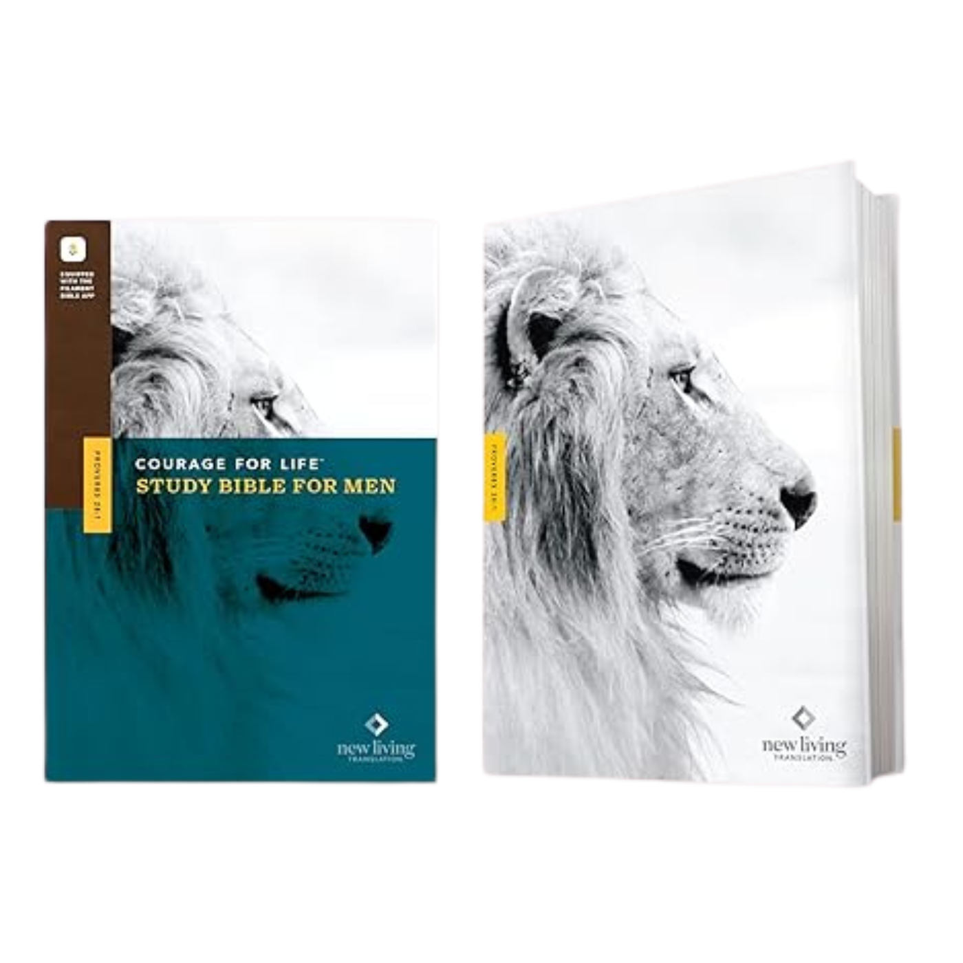 NLT Courage for Life Study Bible for Men - Hardcover