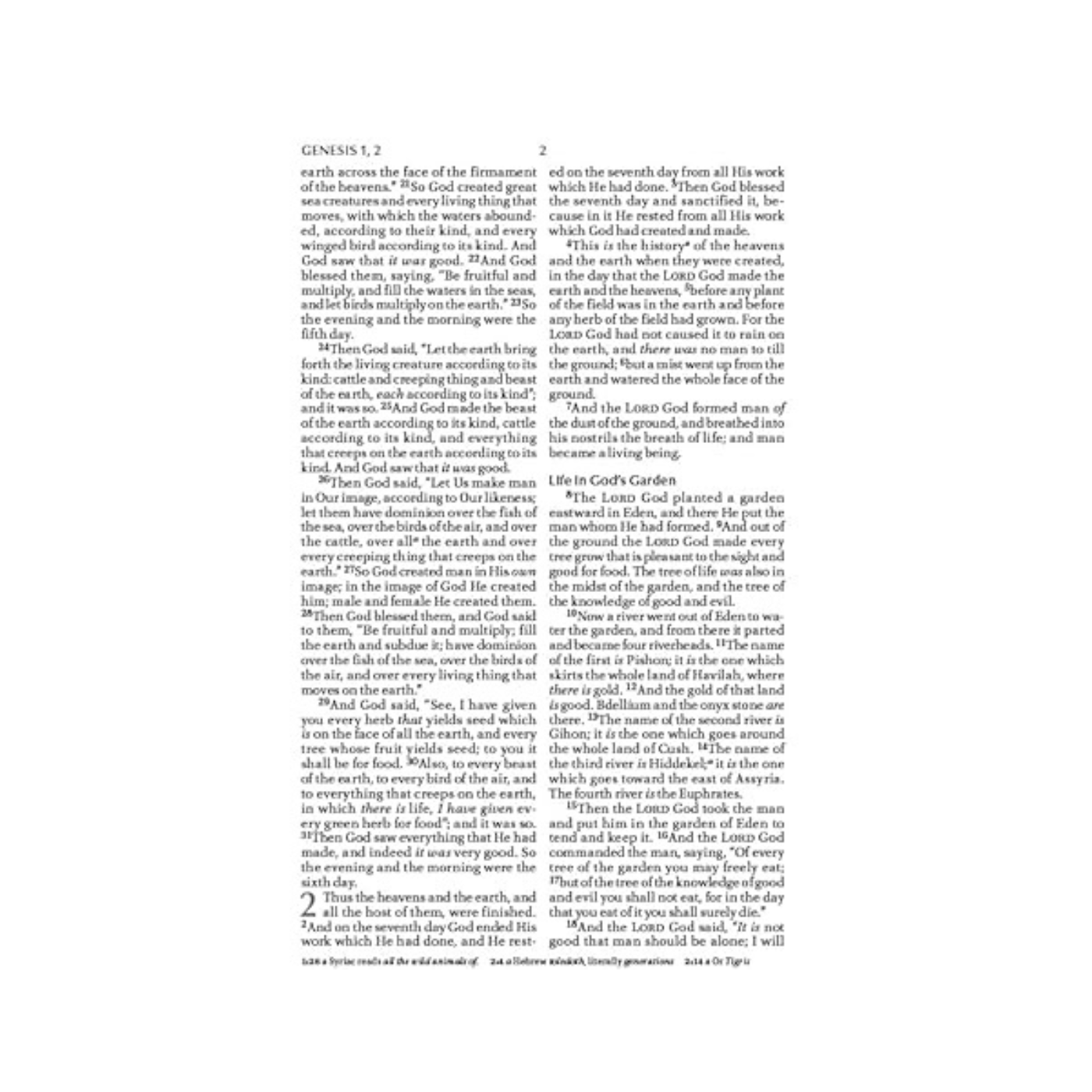 The NKJV, Holy Bible, Larger Print, Paperback